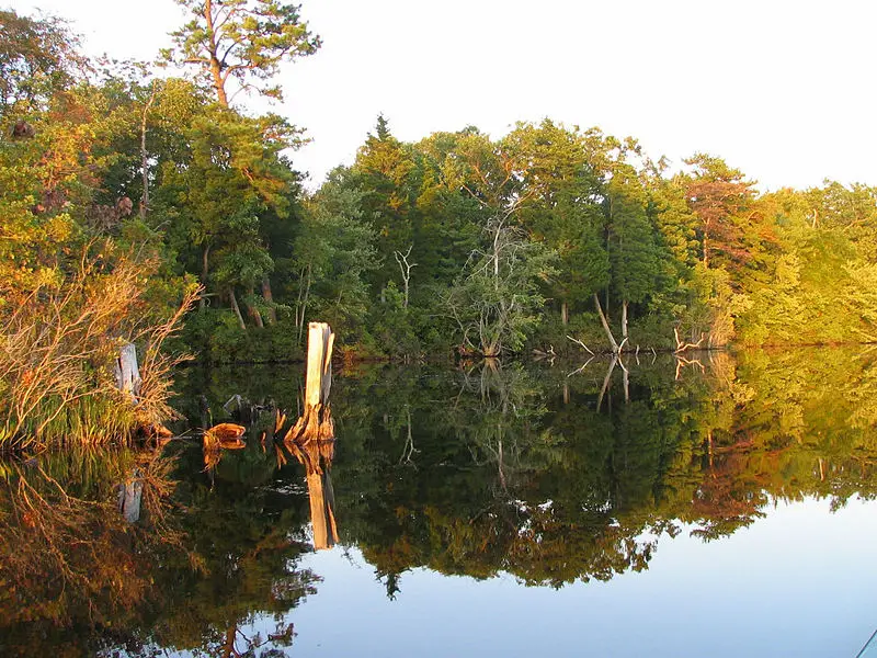 File:Lake Atsion.jpg