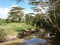 Thumbnail for version as of 23:46, 13 January 2009