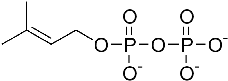 File:DMAPP.png
