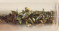Thumbnail for version as of 20:20, 6 February 2007