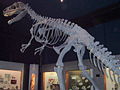 Thumbnail for version as of 03:03, 18 December 2005