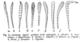 Thumbnail for version as of 19:33, 1 July 2006