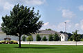 Thumbnail for version as of 03:33, 18 August 2007