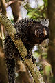 Thumbnail for version as of 21:29, 28 June 2008