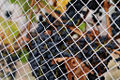 Thumbnail for version as of 19:27, 21 December 2005