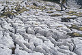 Thumbnail for version as of 23:58, 16 June 2007