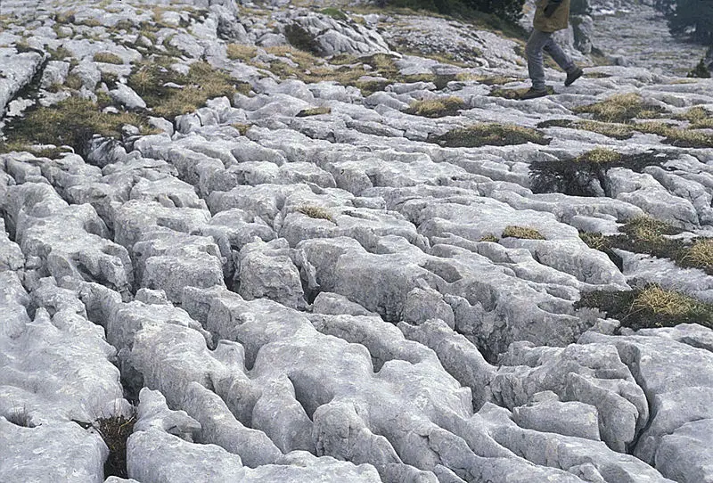File:Karst Dent-de-Crolle-8.jpg