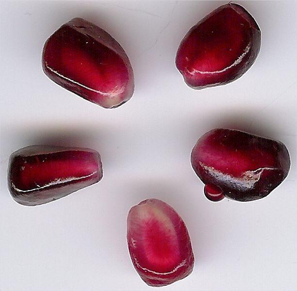 File:Pomseeds2.jpg