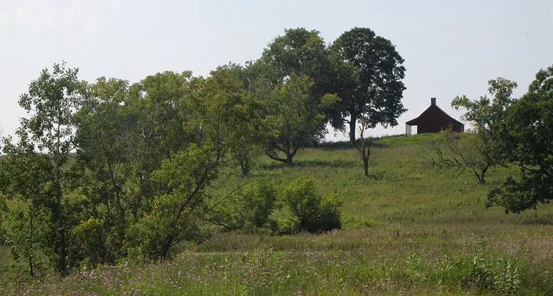 File:Saratoga-neilson.jpg