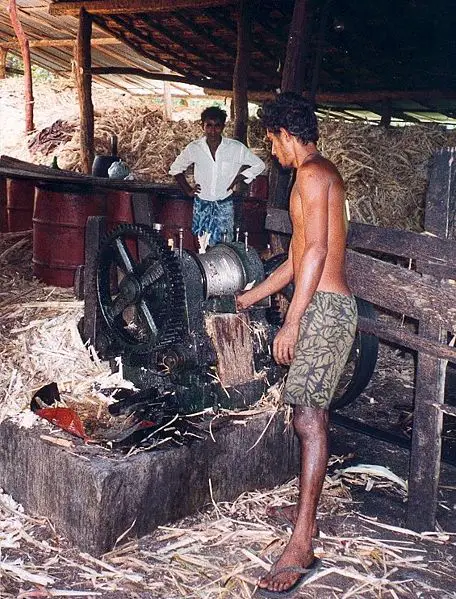 File:Srilanka coconut fibre.jpg