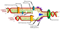 Thumbnail for version as of 06:18, 22 December 2007