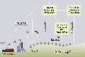 Thumbnail for version as of 04:15, 10 October 2007