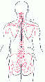 Thumbnail for version as of 14:26, 30 October 2005