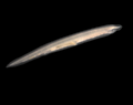 Thumbnail for version as of 02:14, 13 December 2006
