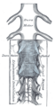 Thumbnail for version as of 00:33, 25 September 2008