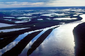 Pantanal - New World Encyclopedia