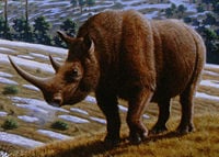 Woolly rhino-Mauricio Anton.jpg