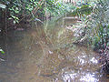 Thumbnail for version as of 00:12, 9 January 2009