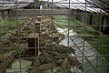 Thumbnail for version as of 13:08, 7 July 2006