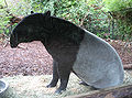Thumbnail for version as of 00:47, 15 August 2007