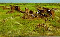 Thumbnail for version as of 20:26, 20 October 2005