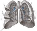 Thumbnail for version as of 12:36, 13 June 2006
