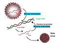Thumbnail for version as of 08:55, 20 February 2009