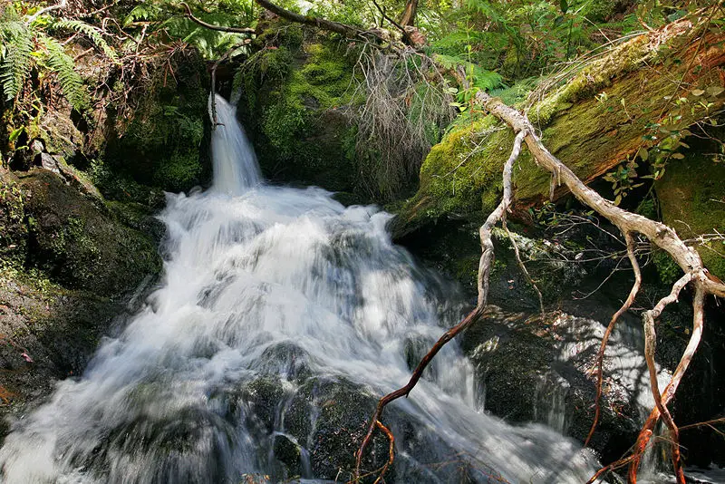 File:Butchers creek - omeo13.jpg