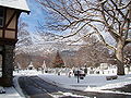 Thumbnail for version as of 20:44, 2 February 2009