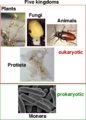 Thumbnail for version as of 14:22, 27 January 2007