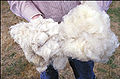 Thumbnail for version as of 00:03, 5 April 2007