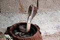 Thumbnail for version as of 21:35, 13 December 2007