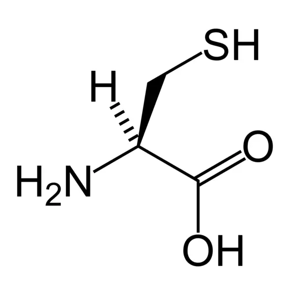 File:L-cysteine-skeletal.png