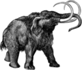 Thumbnail for version as of 13:55, 12 May 2006