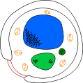 Thumbnail for version as of 14:43, 7 June 2007