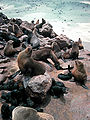 Thumbnail for version as of 12:43, 24 January 2007