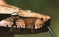 Thumbnail for version as of 23:33, 22 August 2007