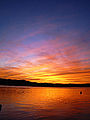 Thumbnail for version as of 06:28, 6 January 2009
