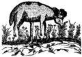 Thumbnail for version as of 20:59, 15 November 2007