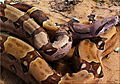 Thumbnail for version as of 18:00, 30 August 2008