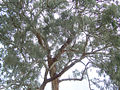 Thumbnail for version as of 15:29, 28 June 2006