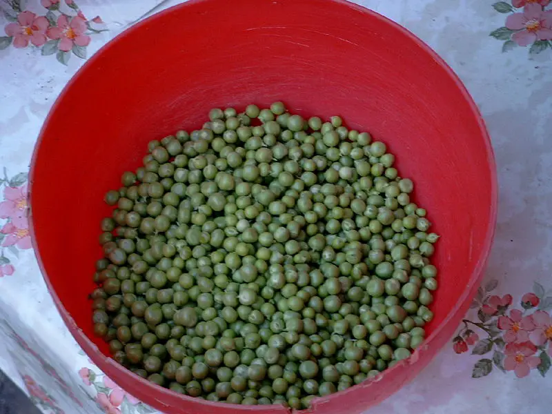 File:Green peas.jpg