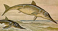 Thumbnail for version as of 16:30, 21 January 2007