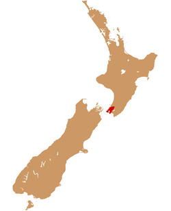Wellington urban area within New Zealand