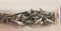 Thumbnail for version as of 00:11, 7 February 2007