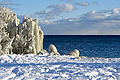 Thumbnail for version as of 04:20, 3 February 2009
