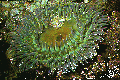 Thumbnail for version as of 22:38, 2 August 2008