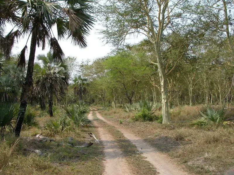 File:Gorongosa - terrain.JPG
