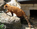 Thumbnail for version as of 16:01, 20 September 2007