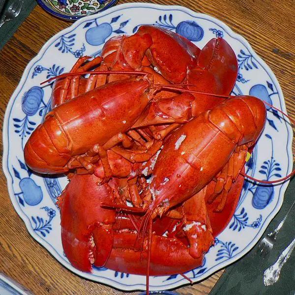 File:Boiled Maine Lobster.jpg